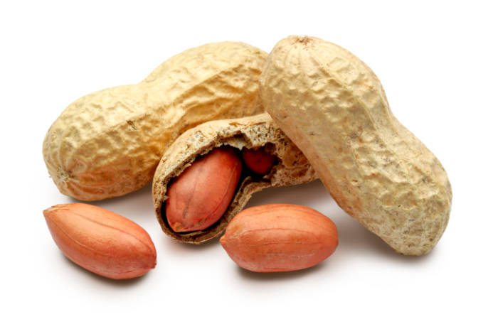 The Peanut Channel