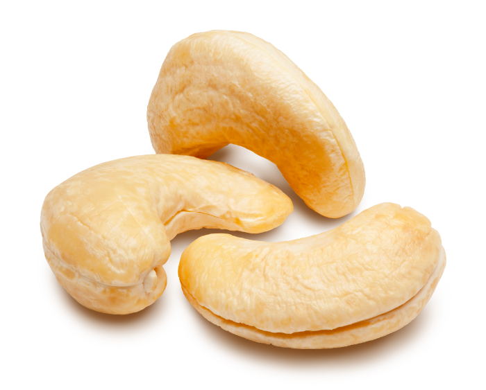 The Cashew Channel