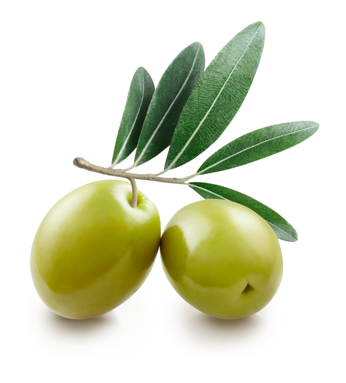 The Olive Channel