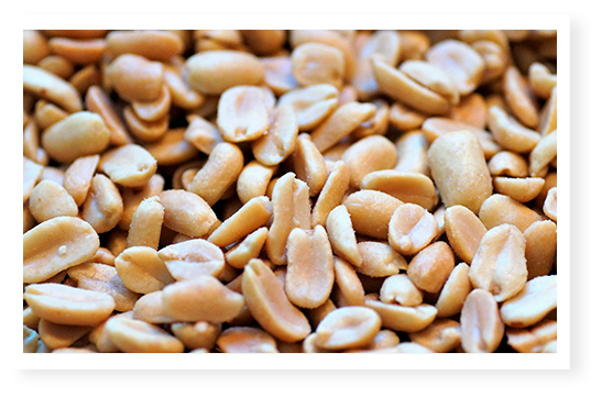 cacahuètes salés