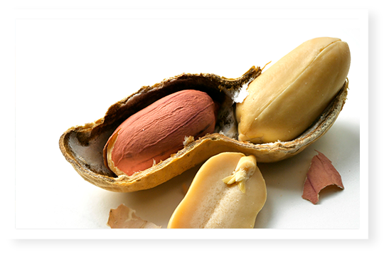 cacahuètes en coque